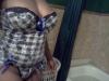 black adult dating with freakybitch212