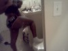 Adult Sex Chat with lookin4fun903 now