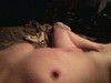 thehornybr