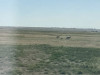 Couple8625