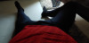 FredWilson1