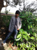 Naveen2503